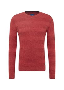 Tom Tailor, Herren Pullover 'structured stripe sweater', Rot