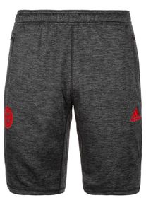 adidas Performance, Herren Short 'FC Bayern M&uuml;nchen', Graumeliert / Rot