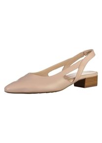 Peter Kaiser, Damen Pumps, Puder
