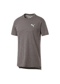 Puma, Herren T-Shirt 'Energy', Greige