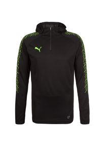 Puma, Herren Langarmshirt 'IT EVO TRAINING', Neongr&uuml;n / Schwarz
