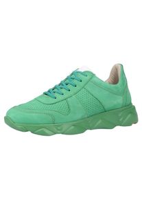 Lloyd, Herren Sneaker, Gr&uuml;n