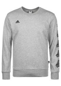 adidas Performance, Herren Sweatshirt, Grau