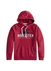 Hollister, Herren Sweatshirt, Rostbraun