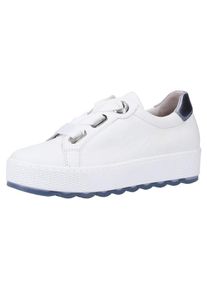 Gabor, Damen Sneaker, Blau / Wei&szlig;