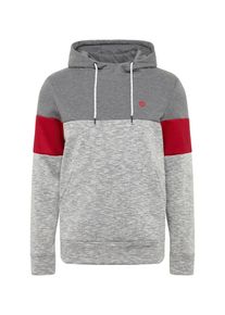 Jack & Jones JACK & JONES, Herren Sweatshirt 'JCOMART SWEAT HOOD', Grau / Rot