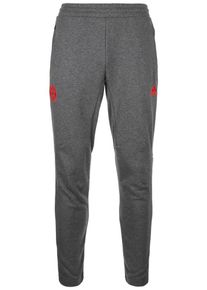 adidas Performance, Herren Trainingshose 'FC Bayern M&uuml;nchen', Graumeliert / Rot