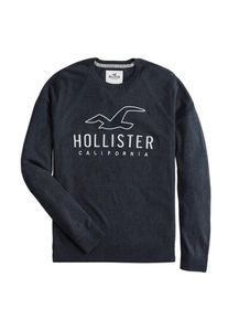 Hollister, Herren Pullover 'CORE GRAPHIC CREW 4CC', Navy