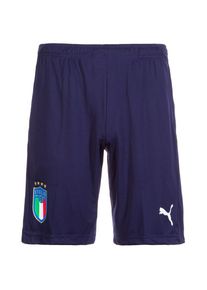 Puma, Herren FIGC Italien Trainingsshort WM 2018, Dunkelblau / Gr&uuml;n / Rot / Wei&szlig;