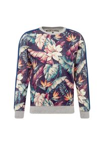 Replay, Herren Sweatshirt 'Sweatshirt', bunt