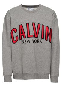 Calvin Klein Jeans, Herren Sweatshirt 'GRAPHIC CREW NECK', Grau / Rot