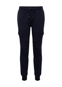 Polo Ralph Lauren, Herren Hose 'CARGOJOGGRM5-CARGO-PANT', Navy