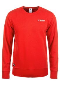 adidas Performance, Herren Sweatshirt 'FC Bayern M&uuml;nchen Graphic', Rot / Wei&szlig;