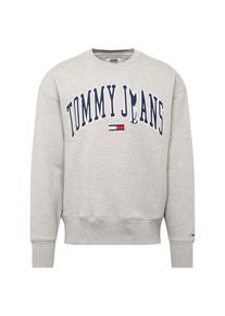 Tommy Jeans, Herren Sweatshirt 'TJM CLEAN COLLEGIATE CREW', Dunkelblau / Grau
