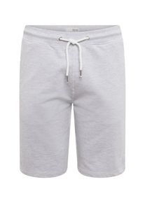 !Solid, Herren Shorts 'REGULAR-MORGAN', Hellgrau