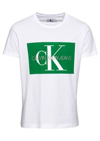 Calvin Klein Jeans, Herren Poloshirt, Gr&uuml;n / Wei&szlig;
