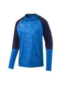 Puma, Herren Sweatshirt 'Cup Training Core', Blau / Dunkelblau