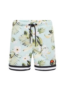 Ellesse, Herren Shorts 'RICADI', Mint / Rosa