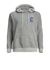 Jack & Jones JACK & JONES, Herren Sweatshirt, Hellgrau