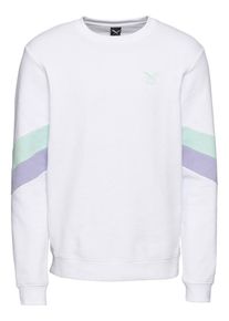 Iriedaily, Herren Sweatshirt, Mint / Lila / Wei&szlig;