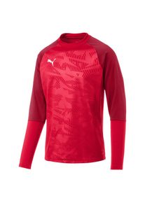 Puma, Herren Sweatshirt 'Cup Training Core', Feuerrot / Hellrot