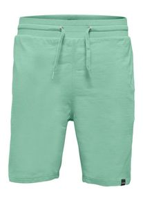 Only & Sons Only & Sons, Herren Shorts, Mint