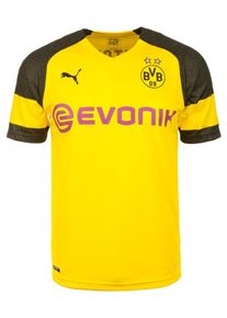 Puma, Herren Trikot 'Borussia Dortmund', Gelb