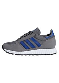 adidas originals, Sneaker 'Forest Grove', Blau / Dunkelgrau