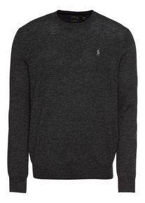 Polo Ralph Lauren, Herren Pullover 'LS SF CN PP-LONG SLEEVE-SWEATER', Dunkelgrau