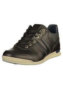 Gaastra, Herren Sneaker, Schwarz