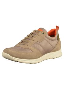 Geox, Herren Sneaker, Beige / Dunkelbeige