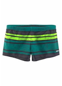 Chiemsee, Herren Boxer-Badehose, Grau / Grün