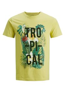 Jack & Jones JACK & JONES, Herren T-Shirt, Dunkelgelb