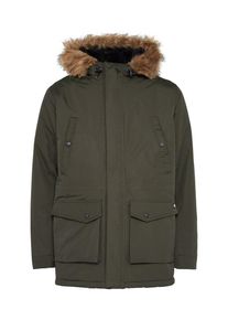 Dickies, Herren Parka 'Curtis', Oliv