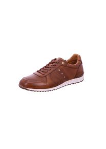 Pantofola d'Oro PANTOFOLA D'ORO, Herren Schnürschuhe, Karamell
