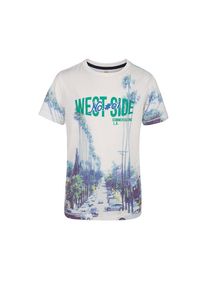 WE Fashion, T-Shirt 'Orian', Smaragd / Weiß