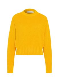 IVY & OAK IVY & OAK, Damen Cropped Jumper, Gelb