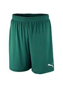 Puma, Herren Shorts Velize, Gr&uuml;n