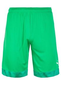Puma, Herren Shorts, Gr&uuml;n