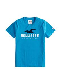 Hollister, Herren Shirt 'ICONIC', Blau / Schwarz / Weiß