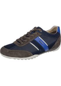Geox, Herren Schnürschuhe 'Wells', Blau / Braun