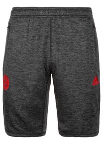 adidas Performance, Herren Short 'FC Bayern M&uuml;nchen', Graumeliert / Rot