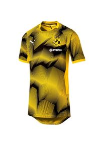 Puma, Herren Funktionsshirt 'Borussia Dortmund', Gelb / Schwarz