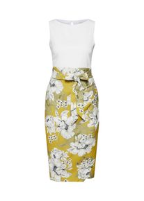 Closet London, Damen Kleid, Limette / Weiß