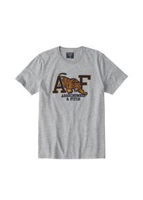 Abercrombie & Fitch Abercrombie & Fitch, Herren Shirt 'ELEVATED TECH', Grau