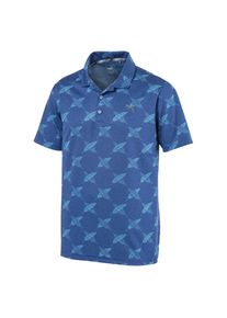 Puma, Herren Polo, Blau / Hellblau