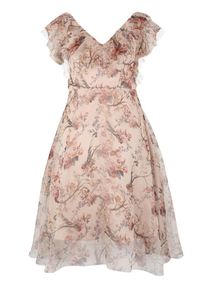 Apart, Damen Kleid, Mischfarben / Puder