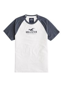 Hollister, Herren Shirts 'SS SB ICONIC TECH BLOCKING', Weiß