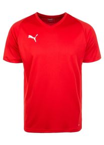 Puma, Herren Fußballtrikot 'Liga Core', Rot / Weiß