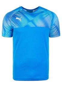 Puma, Herren Fußballtrikot 'Cup', Blau / Hellblau